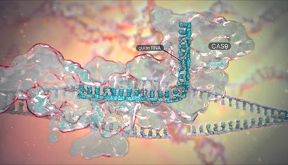 «Молекулярное лего» может улучшить технологию CRISPR
