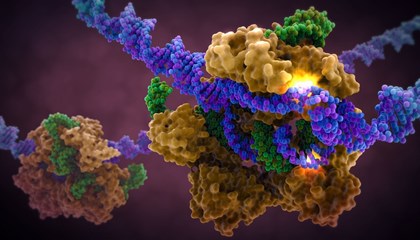 Китайские специалисты впервые опробовали метод генного редактирования на человеке
