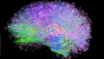 Гарвардские ученые нашли физический источник человеческого сознания